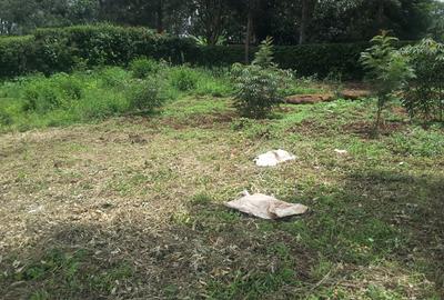 1 ac Land in Karen - 3