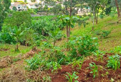 Land in Kitisuru