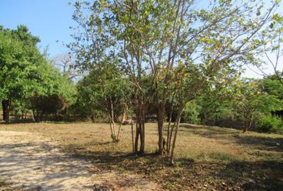 Land at Off Diani Beach Rd - 2