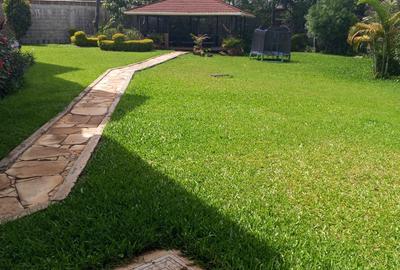 Furnished 2 Bed Apartment with En Suite in Runda - 4