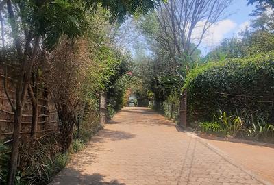 3 Bed House with Staff Quarters in Lavington - 2