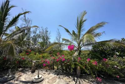 4 ac Land in Watamu - 4