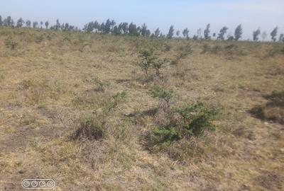 5 ac Land at Sholinke - 3