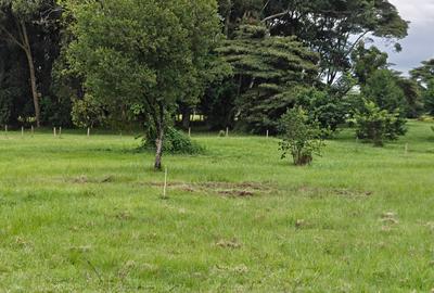 1 ac Land in Karen