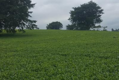 3 ac Land in Limuru - 2