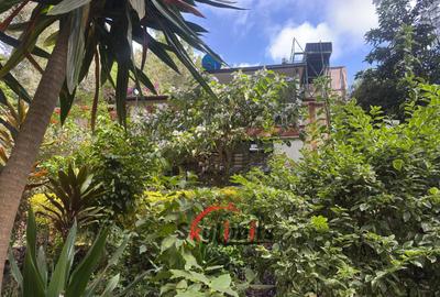 4 Bed House with Garden in Muthaiga - 2