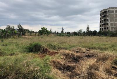 1.25 ac Land at Kamakis