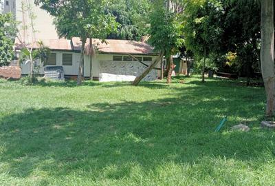 1.03 m² Land in Lavington - 4