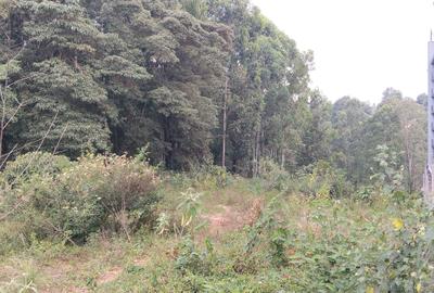 Commercial Land at Kirawa Road - 2