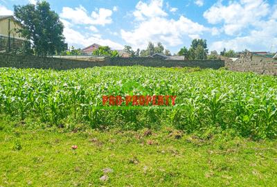 0.1 ha Residential Land at Kiamunyi