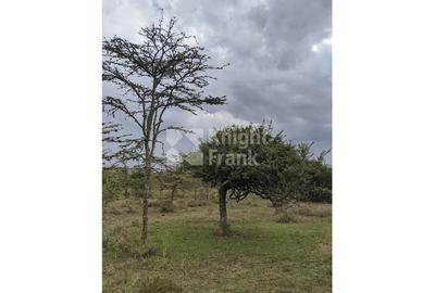 9.7 ac Land in Nanyuki