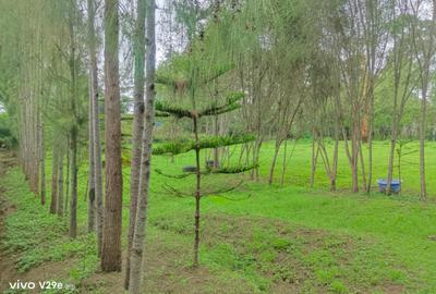 0.25 ac Land at Kerarapon Drive - 2