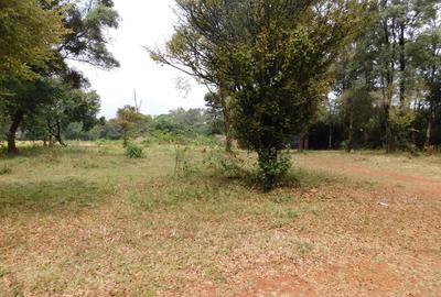 9 ac Land in Karen