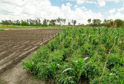 0.125 ac Residential Land in Athi River