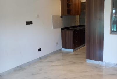 Studio Apartment with En Suite at Naivasha Road - 2