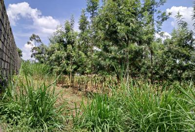 0.1 ha Residential Land at Thamada