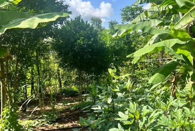 2 ac Land at Karingani