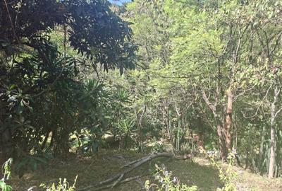 0.75 ac Residential Land at Off Naivasha Avenue - 3