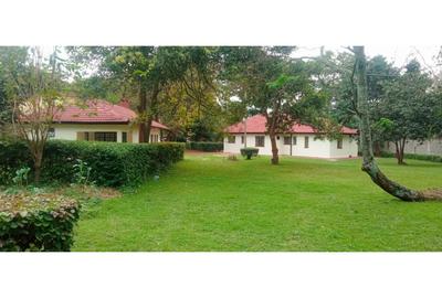 Commercial Property with Fibre Internet at Lavington