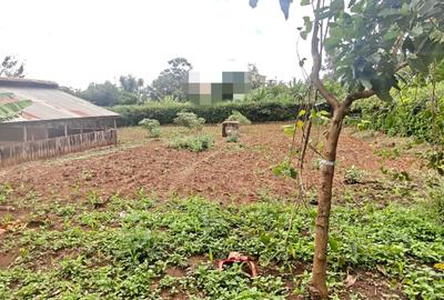 0.5 ac Land in Thome - 3