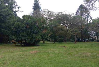 4.9 ac Commercial Land in Kilimani