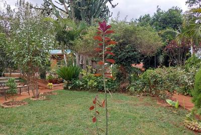 2 Bed House with Garden in Karen - 2