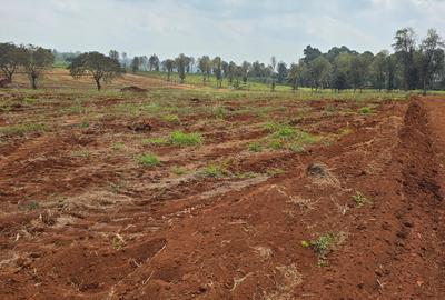 0.125 ac Residential Land in Kiambu Road