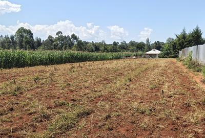 Land in Trans Nzoia - 4