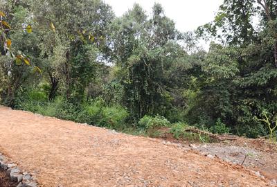 Land at Mlima Road