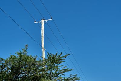 505 ac Land at Maiyan Road - 3