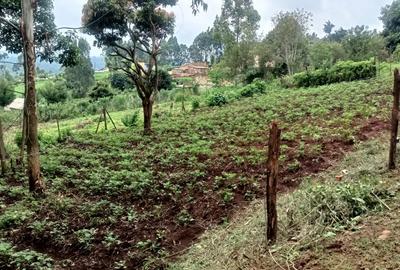 Residential Land in Rironi