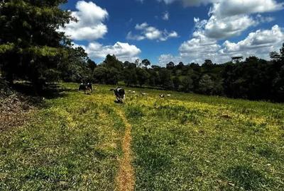 5 Bed Villa with Staff Quarters in Tigoni - 3