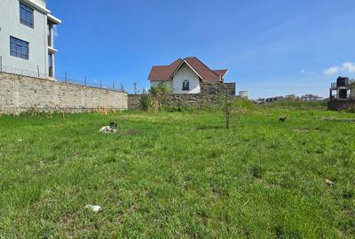 0.125 ac Residential Land at 2Nd Avenue - 2