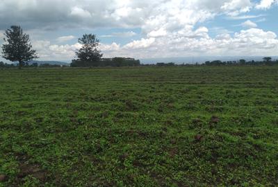 Land at Nanyuki