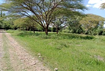 Land at Roysambu