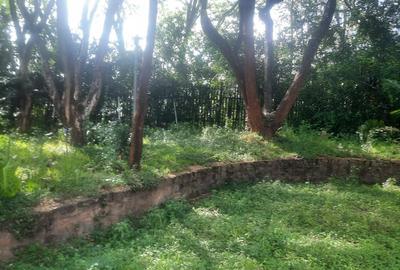 5 ac Land at Kabarnet Gardens - 2