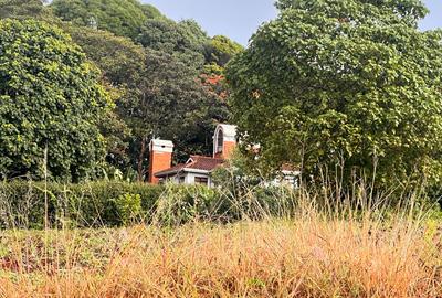 Land at Tigoni