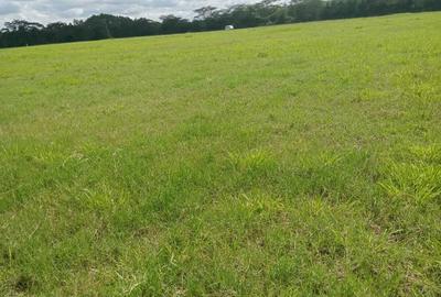 0.125 ac Land at Salgaa