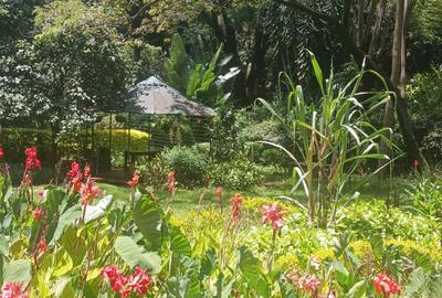 Commercial Property with Parking in Lavington
