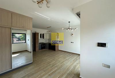 Studio Apartment in Kileleshwa - 2
