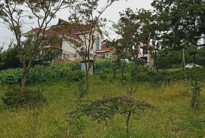 0.25 ac Land at Kibiko