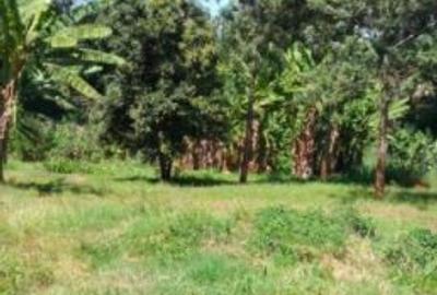1 ac Land in Muthaiga