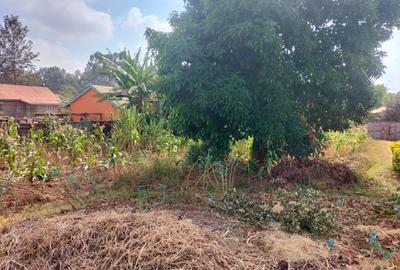 0.25 ac Land at Kabiria Rd - 2