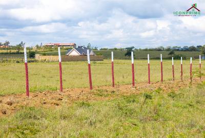 0.25 ac Land in Naivasha - 2