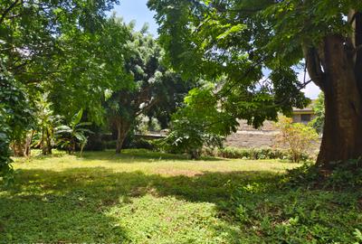 Commercial Land at James Gichuru