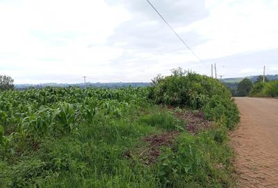 0.5 ac Residential Land at Near Tropical Heat