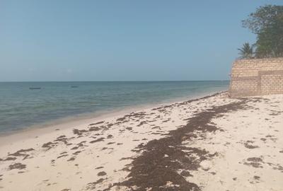 Land at Shelly Beach