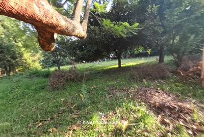 1 ac Land in Runda - 3