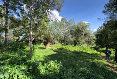 0.5 ac Land in Lake View - 4