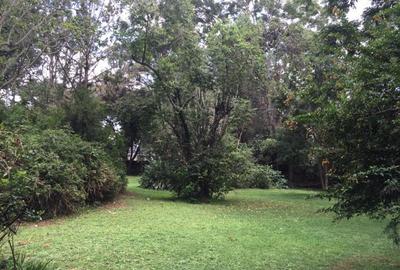 Furnished 3 Bed Apartment with En Suite at Gigiri Road - 2